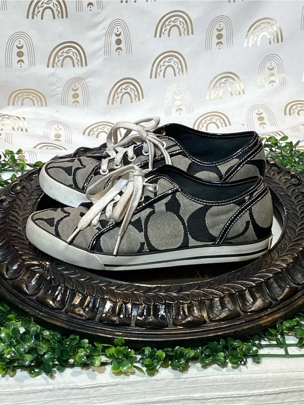 Coach low top